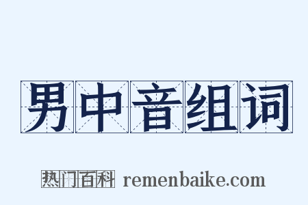 男中音组词是什么意思的图片